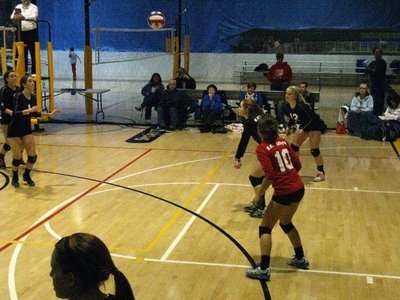 Action Shot